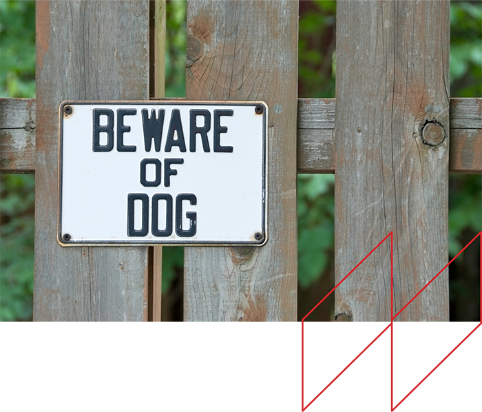 Beware of Dog sign on wooden fence, emphasizing dog owner liability and safety in Kentucky's dog bite laws.